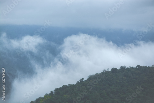 Mountains landscape with fog in the morning, Tropical forest image © pomiti