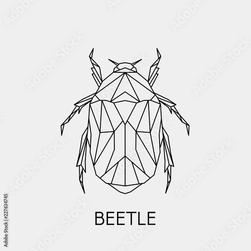 Geometric beetle. Polygonal linear abstract bug. Vector illustration