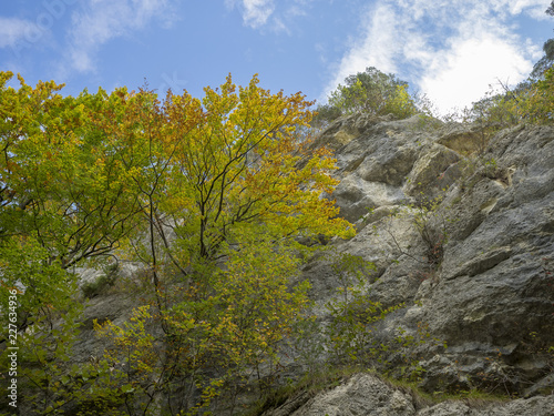 La randonnée de Reigoldswil au vogelberg par la piste bordée de hautes falaises et blocs de rochers