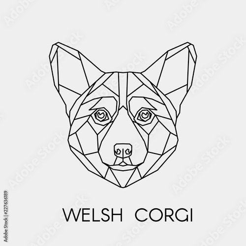Geometric dog breed Welsh Corgi. Polygonal linear animal head. Vector illustration.