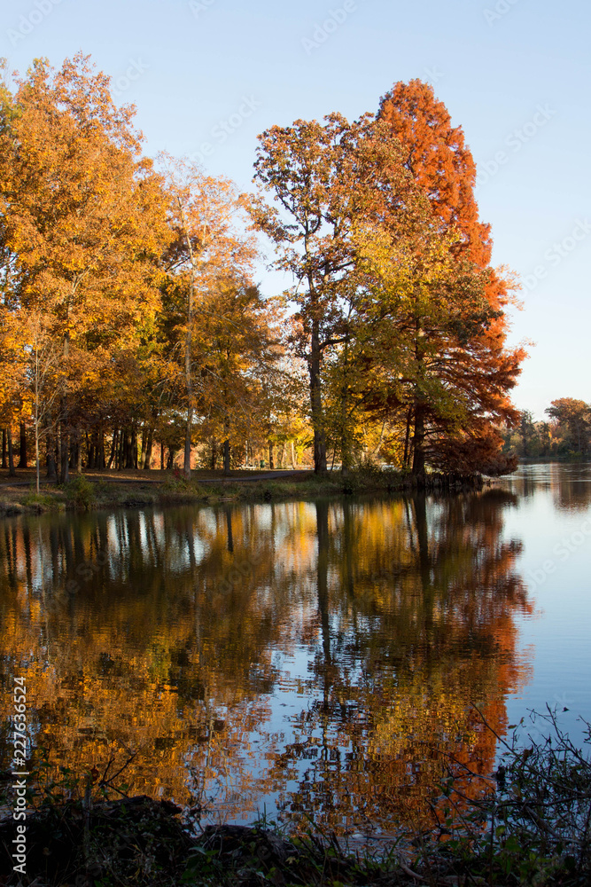 Colourful autumn foliage with lake reflection