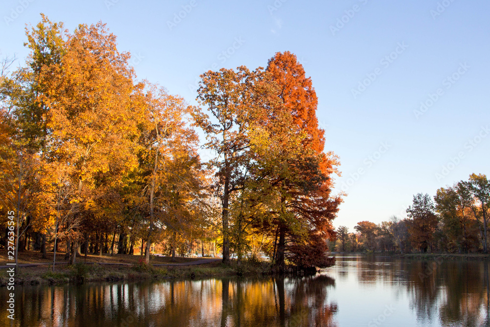 Colourful autumn foliage with lake reflection Colourful autumn foliage with lake reflection