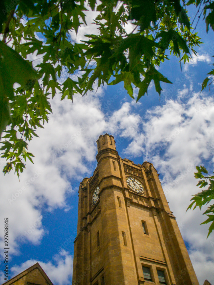 Fototapeta premium Melbourne University clock tower