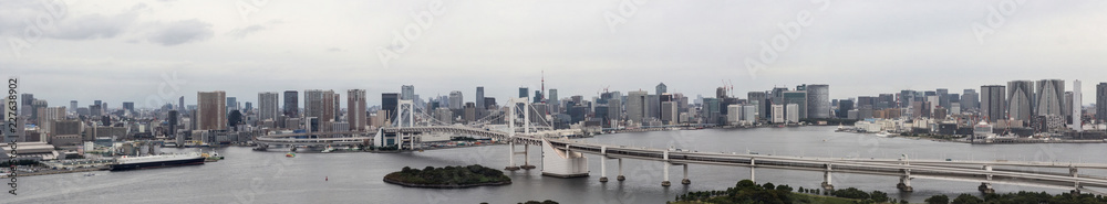 Urban metropolis daylight cityscape with skyscrapers, river and big suspension bridge. Widescreen panoramic image