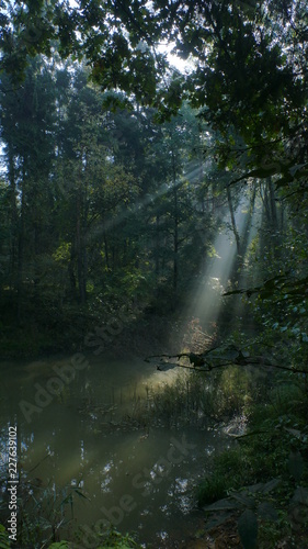 Światło w magicznym miejscu. Wczesny poranek w parku krajobrazowym Segiet (UNESCO). Polska
