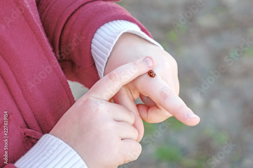 a ladybug sits on a child's hand on a Sunny spring day