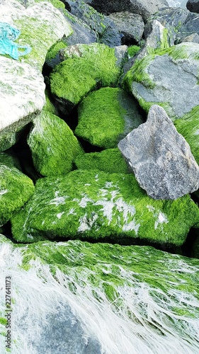 Greenish Rocks