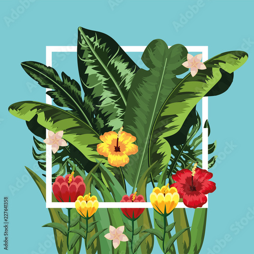 square freme with flowers and leaves plants photo