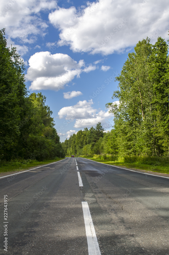 asphalt road in the forest