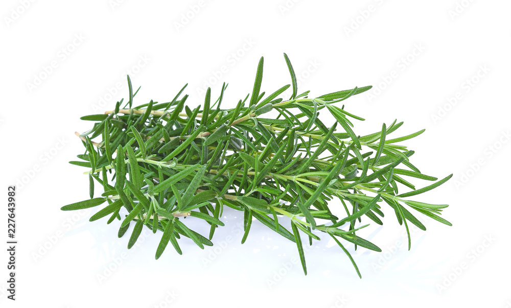 Rosemary isolated on white background Rosemary isolated on white background