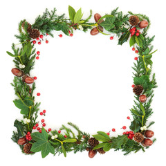 Natural winter and Christmas square wreath border with cedar cypress, fir, holly berries, ivy, mistletoe, pine cones and acorns on white background. Festive card for the holiday season. 