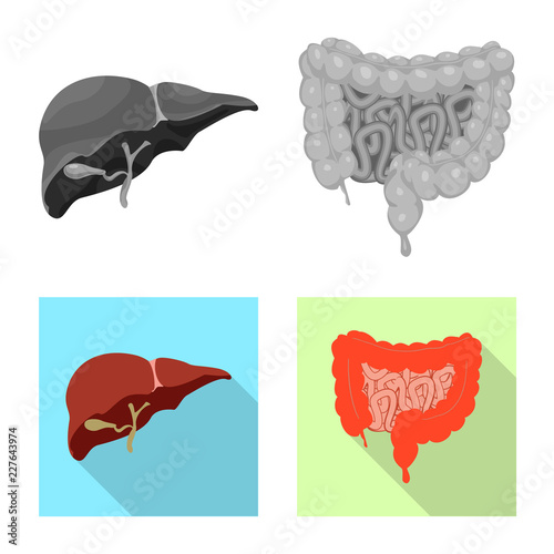 Vector design of body and human symbol. Collection of body and medical vector icon for stock.