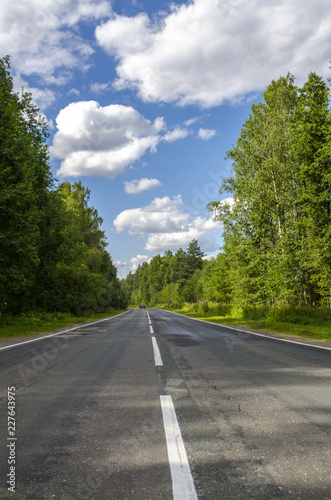 asphalt road in the forest © evgenfagot