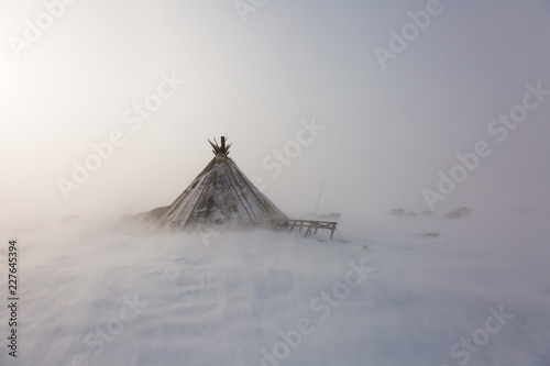 Nenets reindeer herders choom on a winter photo