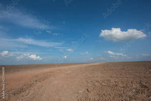 bare land with drought soil prepare for growing sugarcane with blue sky