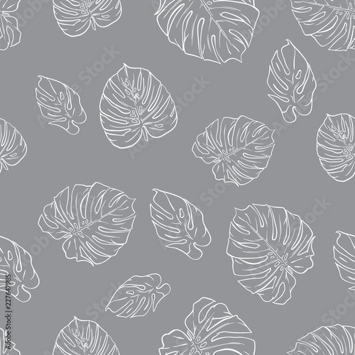 Monstera leaves vector seamless pattern. Tropical textile print.