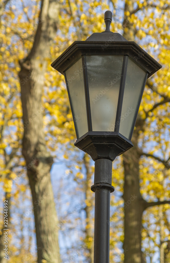 Lantern on the background of autumn leaves