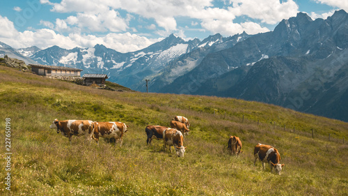 Beautiful alpine view at Mayrhofen - Zillertal - Tyrol - Austria