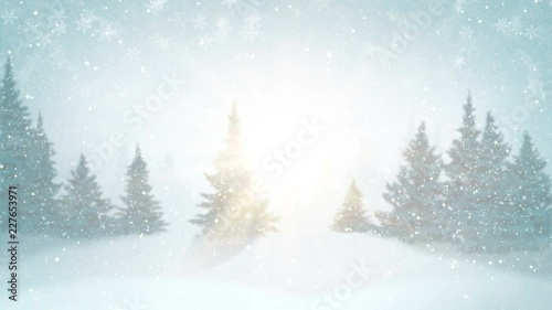 Snowfall, snow and fir trees covered with hoarfrost and snow in evening forest in winter. Looped motion graphic.