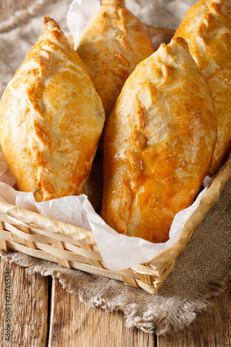 Freshly baked Lithuanian lamb meat pies close-up. vertical photo