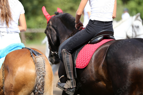 Sport horse close up under old leather saddle on dressage competition