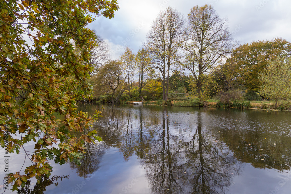 Winter trees around a lake with lovely reflections. Winter trees around a lake with lovely reflections.