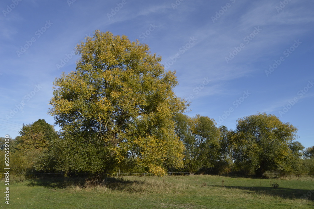 Autumn Landscape in East Westfalia