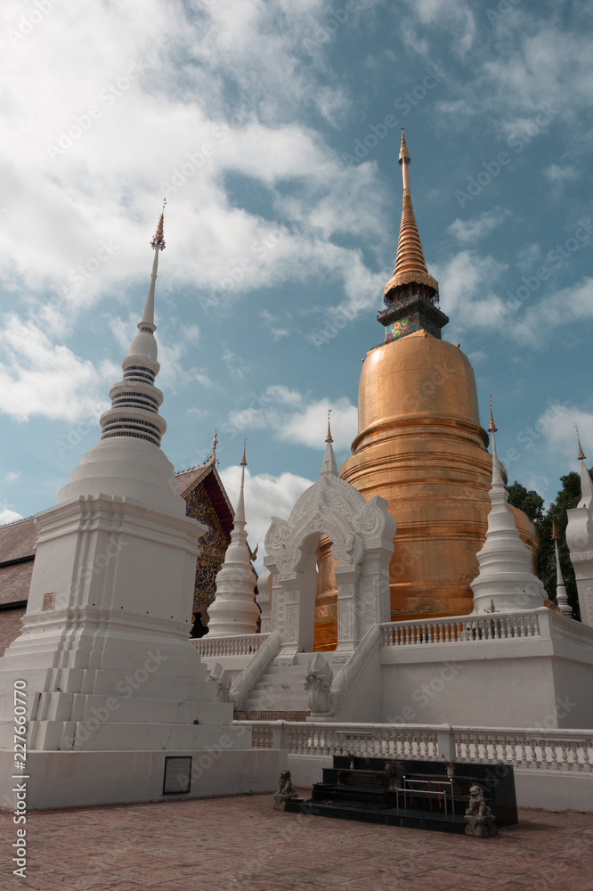 Wat Suan Dok in Chinagmai, Thailand.