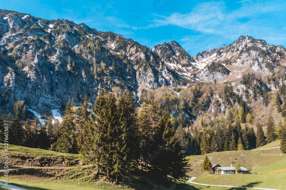 Beautiful alpine view at the Hochfelln - Bergen - Bavaria - Germany