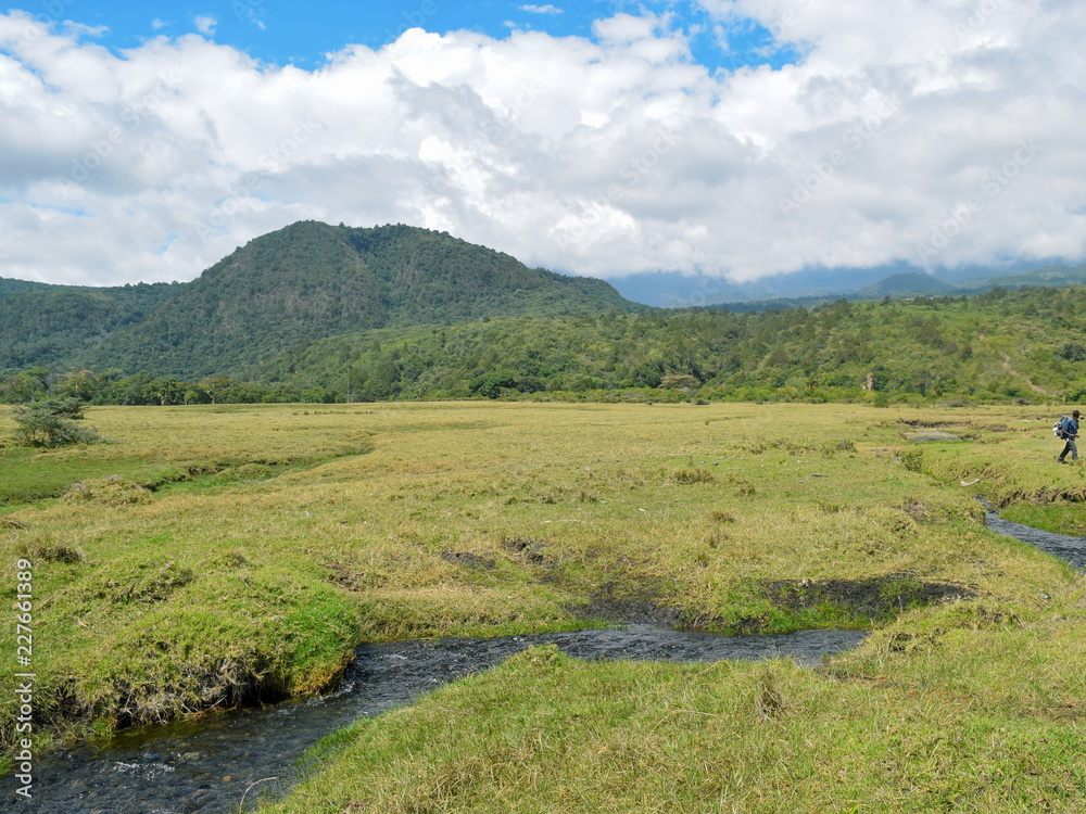 A fresh water against a mounatin background, Arusha National Park, Tanzania