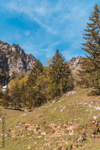 Beautiful alpine view at the Hochfelln - Bergen - Bavaria - Germany photo