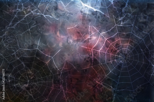 Dark halloween background with spiderweb