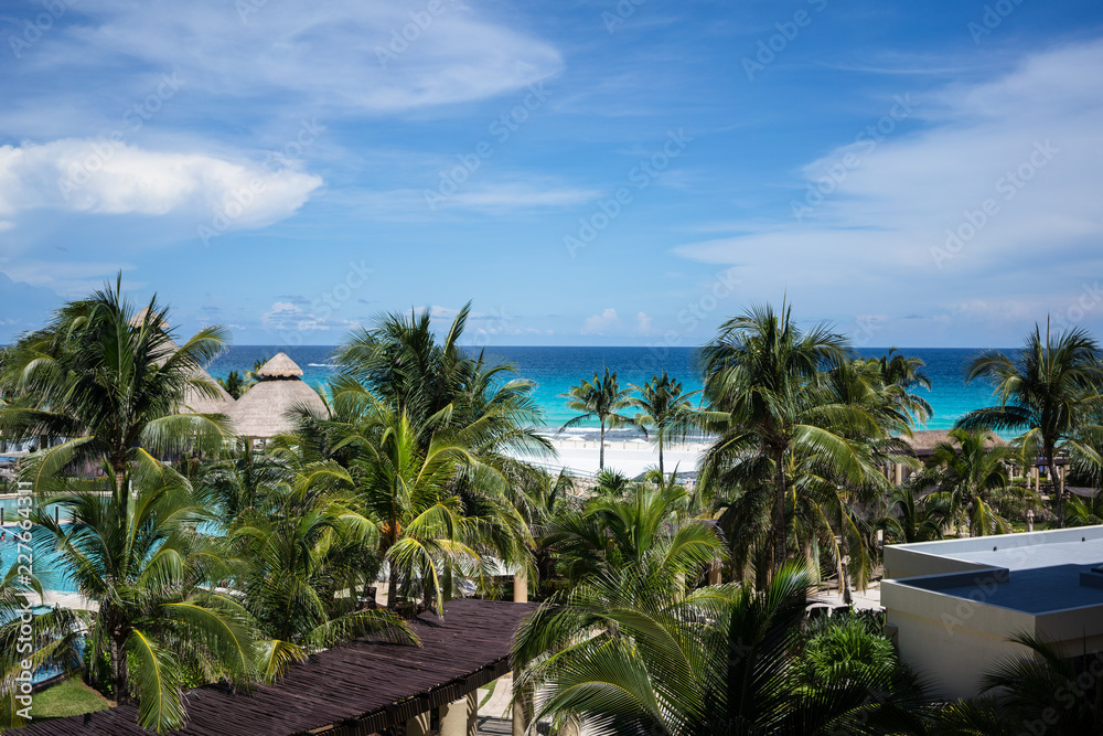 Fototapeta premium beach