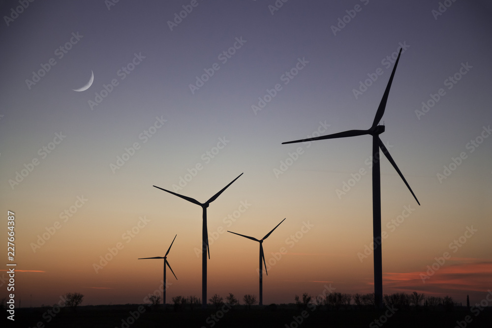 Wind energy turbines field in summer at sunset