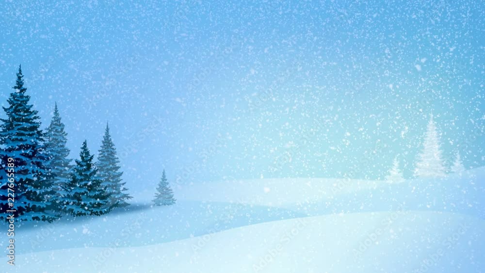 Snowfall, snow and fir trees covered with hoarfrost and snow in evening forest in winter. Looped motion graphic.