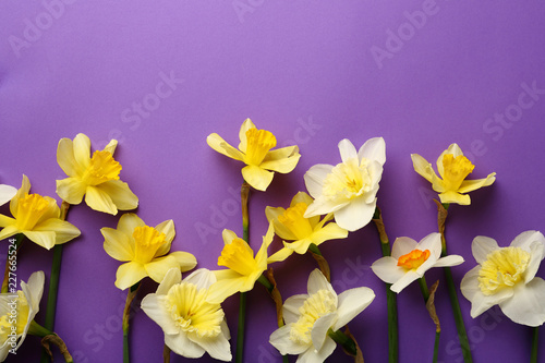 Spring flowers holiday background