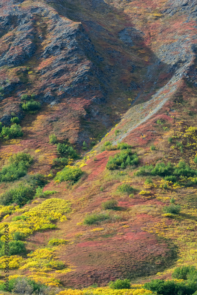 Alaskan rocky hillside covered in fall vegatation in shades of green red and yellow