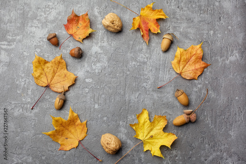 Wreath of autumn leaves and acorns on the grey background, flat lay, top view