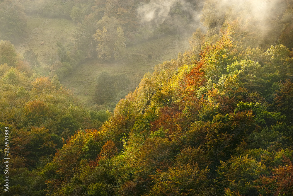 Autumn landscape, natural park Ubiñas table, fog, Asturias, Spain Autumn landscape, natural park Ubiñas table, fog, Asturias, Spain