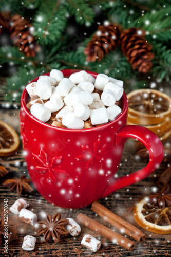 Homemade  hot chocolate in mugs   with marshmallow