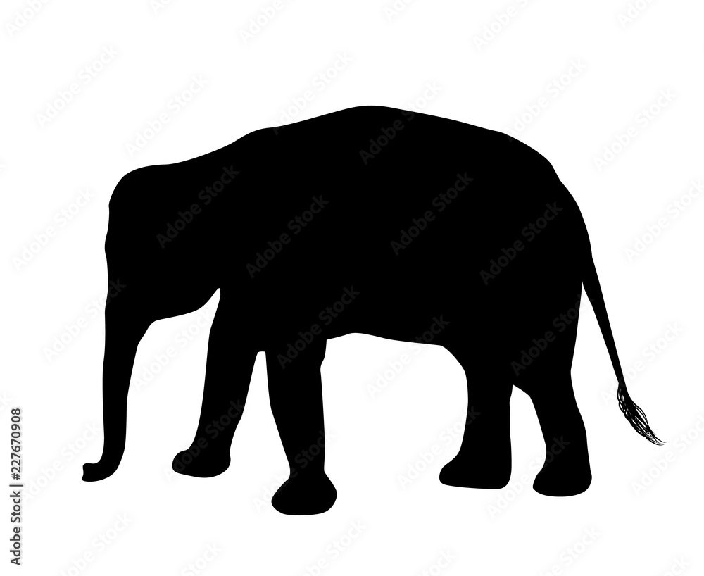 Elephant silhouette isolated on white background vector Elephant silhouette isolated on white background vector
