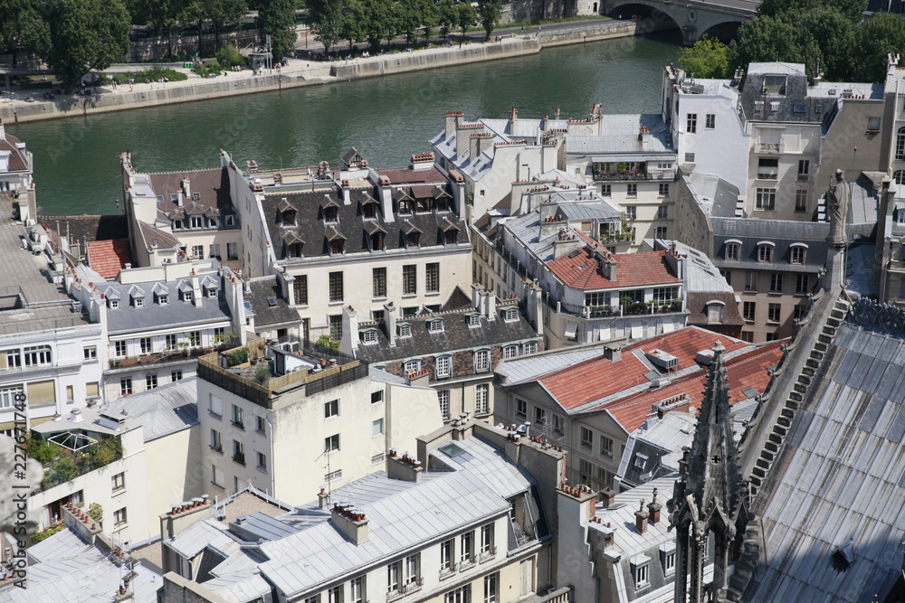 Obraz premium View of the roofs of Paris from the height of Notre Dame de Paris