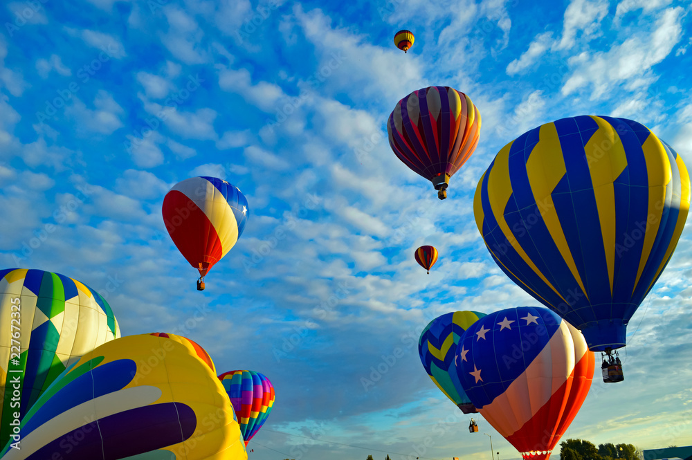 Fototapeta premium Balloon Festival