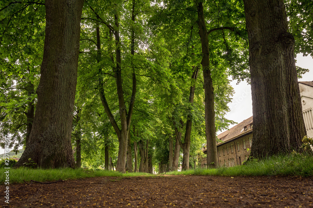 Naklejka premium Weg