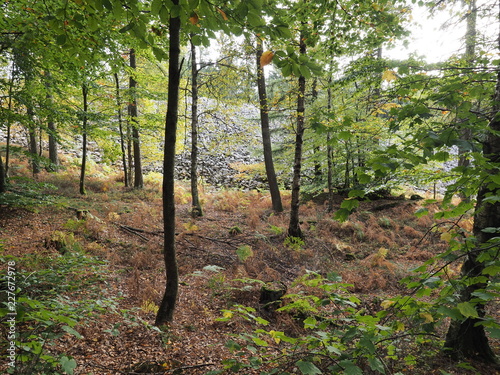 Keltischer Ringwall Otzenhausen im Herbst auf dem Dollberg - eine der eindrucksvollsten keltischen Befestigungsanlagen in Europa 
 photo