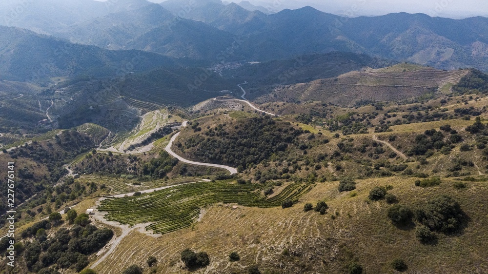 Obraz premium Priorat winefields zone 4