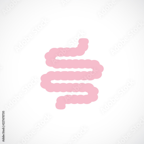 Small intestine vector icon