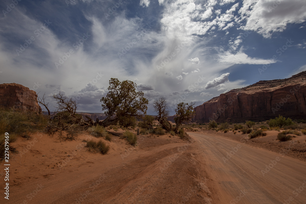 Fototapeta premium Monument Desert 03