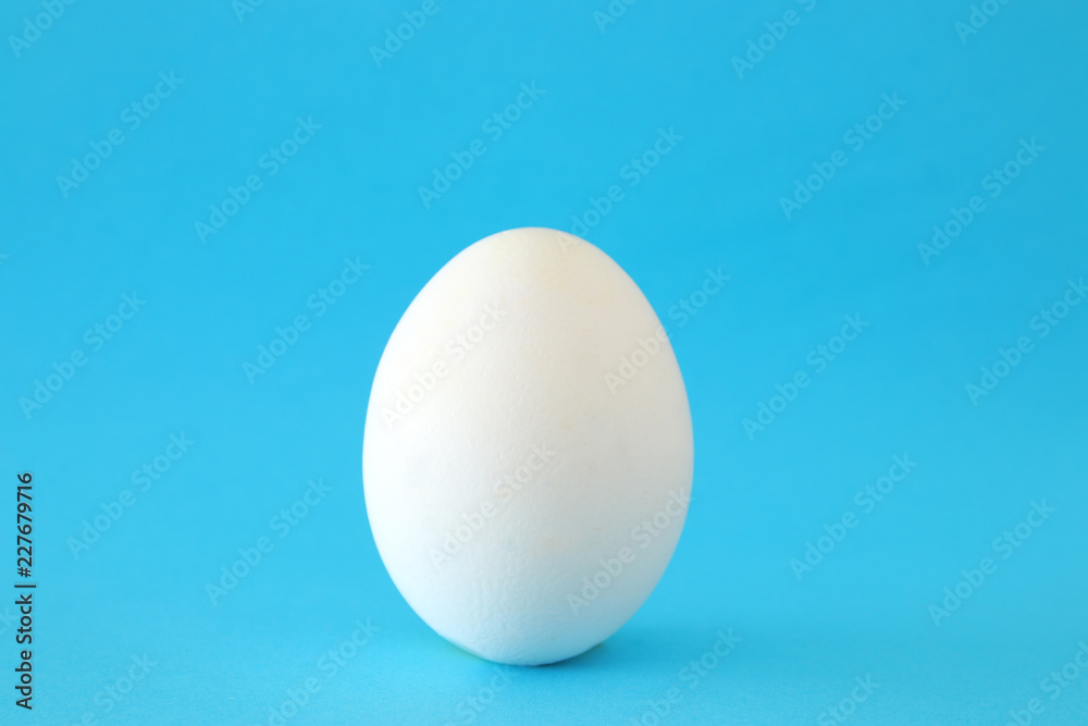 concept image of egg shape over blue pastel background. minimal an pop art concept. concept image of egg shape over blue pastel background. minimal an pop art concept.