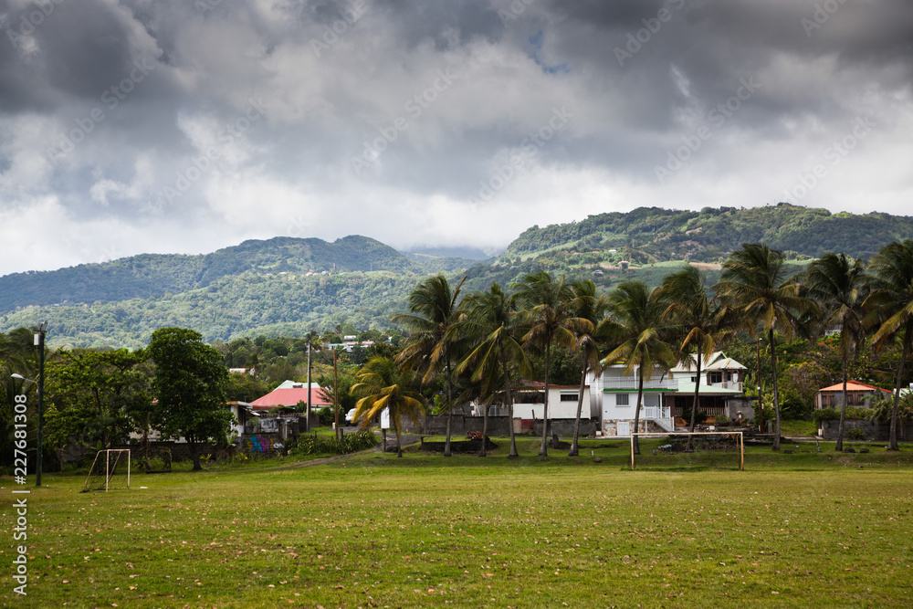 landscape with palm trees in Guadeloupe